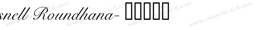 snell Roundhana字体转换